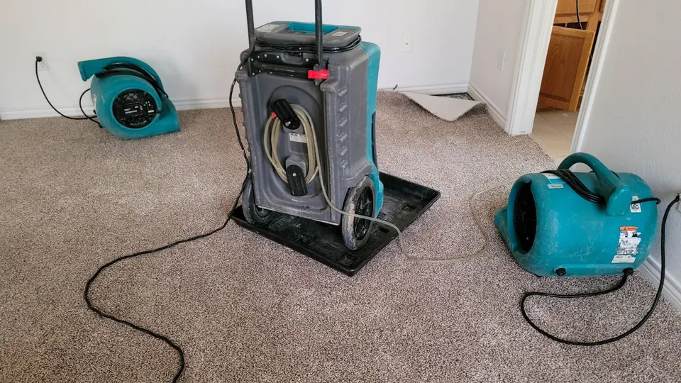 Dehumidifier and air movers drying carpet in a home